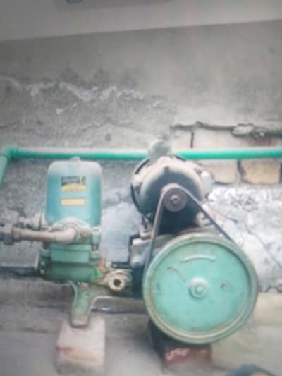 donkey pump golden  company