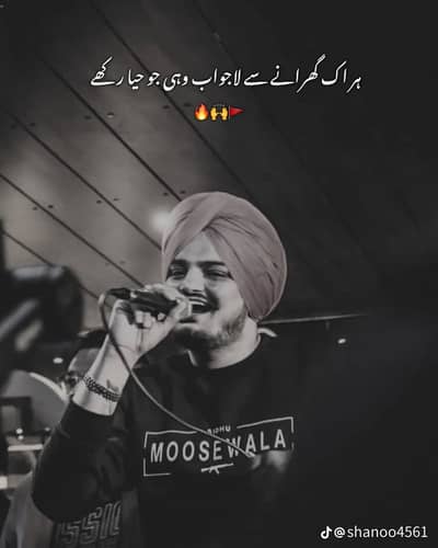 Shan Ali 
