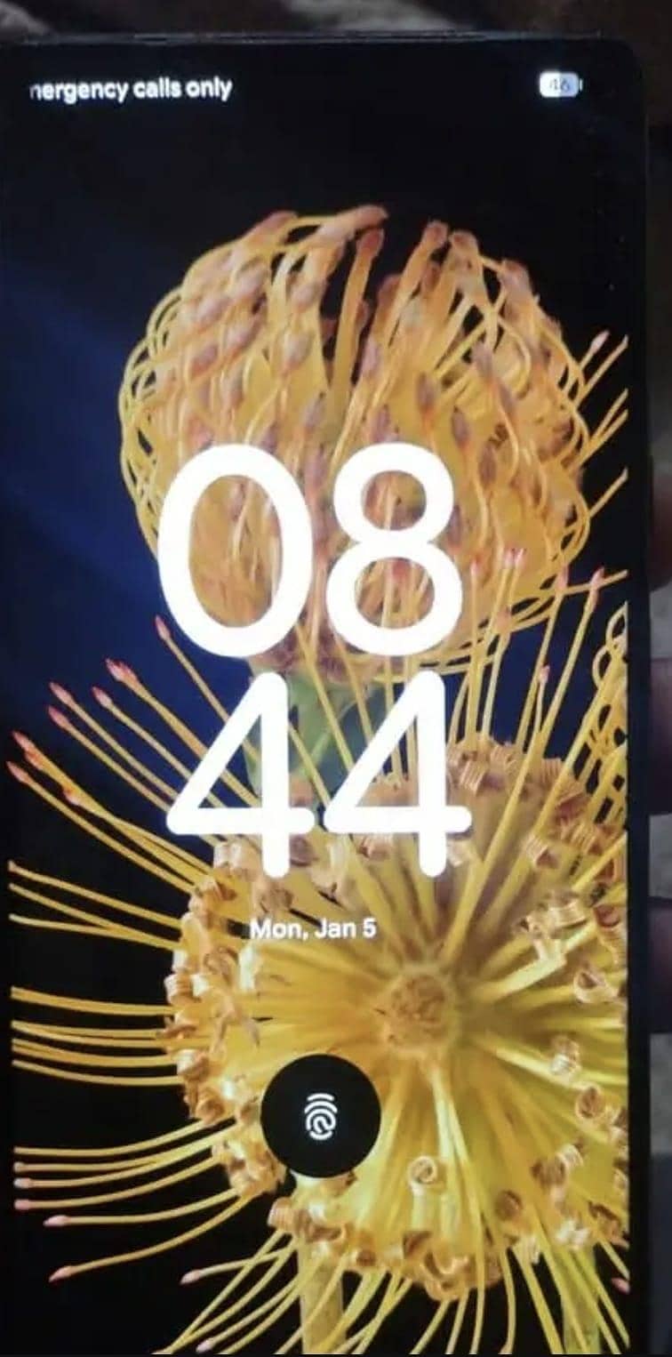 Google pixel 6 Pro 0