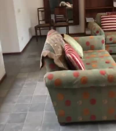 Buy A House Of 1 Kanal In Model Town