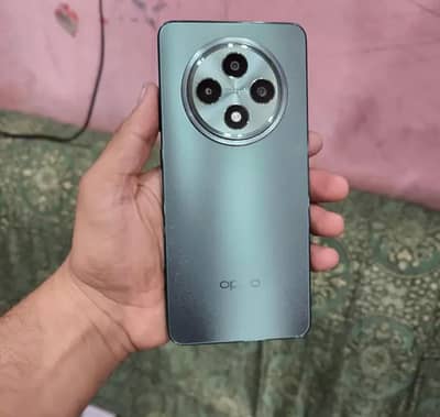 12 gb Ram 256 gb capacity