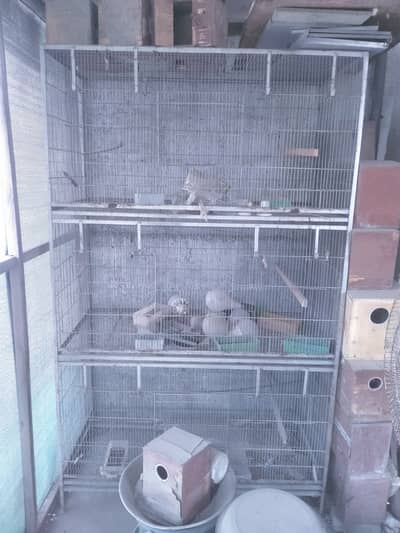 Cages for sale