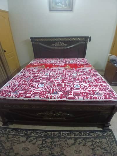 Master Molty Firm Mattress