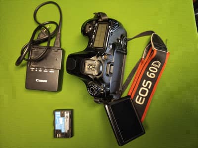 Canon 60D with Tamron 17-50 f2.8