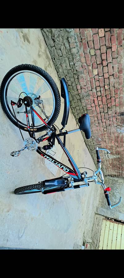 Italian Bicycle New Condition
