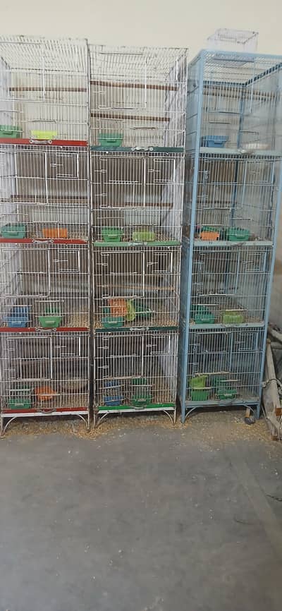 birds cage new condostion