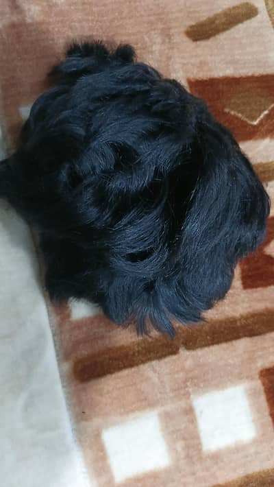 wigs and hair extension