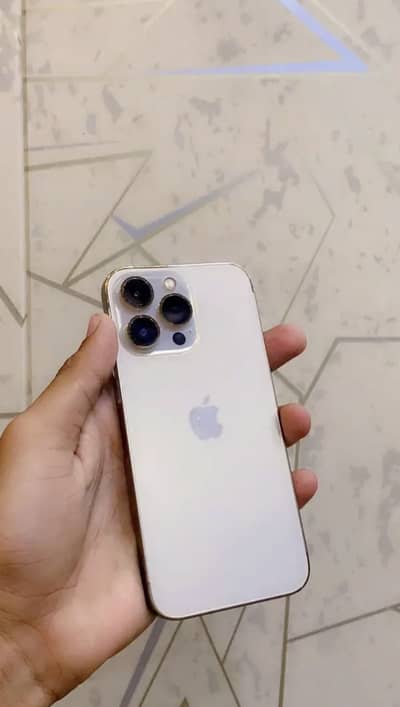 iPhone 13 Pro Factory Unlock