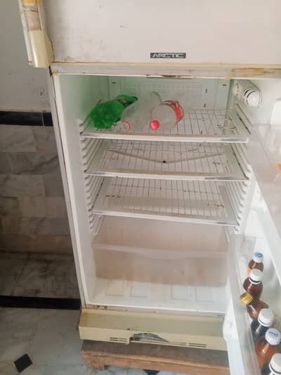 PEL Refrigerator jumbo size is available in best price