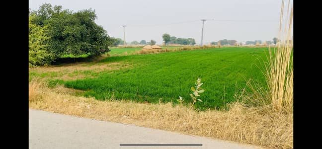 Agriculture land for sale 6 kanal in chakbeli Khan moza mehmooda Rawalpindi