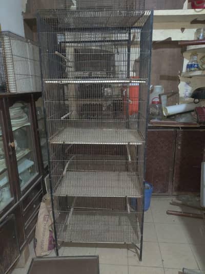 bird/hen cage