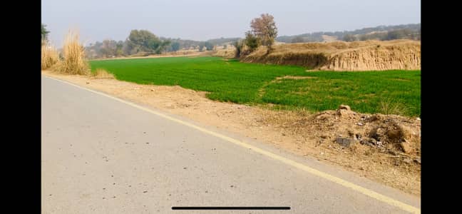 Beautiful Agriculture land for sale 28 kanal in moza haraj chakwal