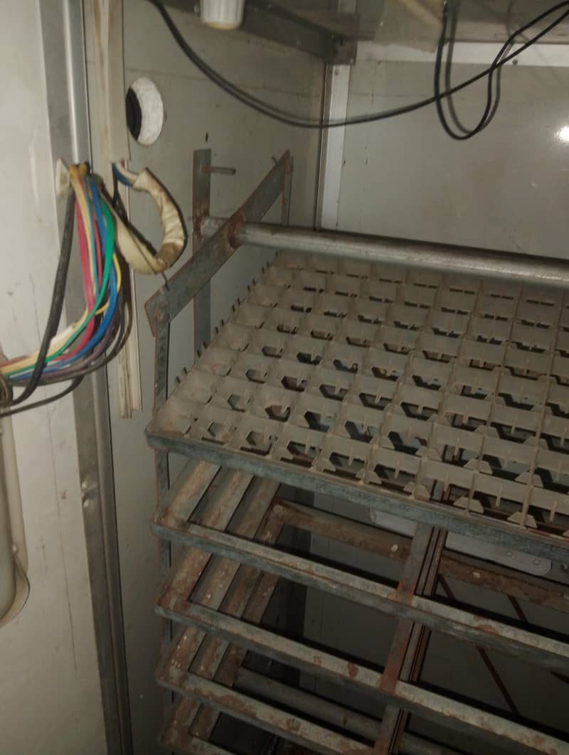 automatic incubator 3