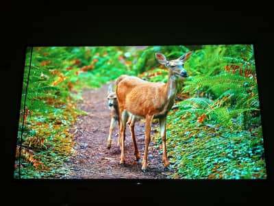 SAMSUNG 40 INCH LED SALE