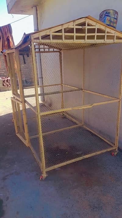 Pinjary ha 2  lush condition ha