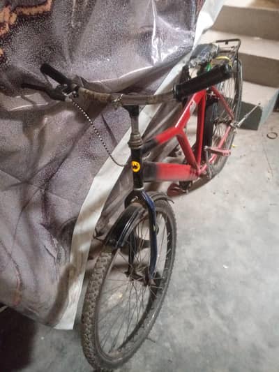 Student Cycle Forsale