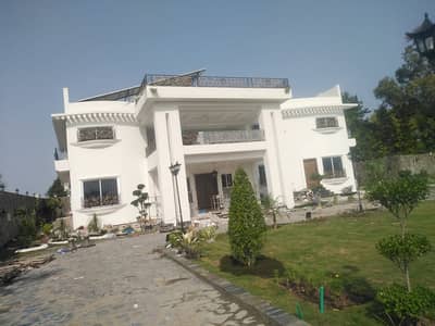 Rock wall design- Auto Garafi -rockwall - paint Polish - Wall Paint