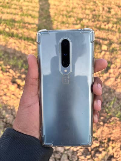 OnePlus 8 5G | light Shade | Water Pack | sealed Phone