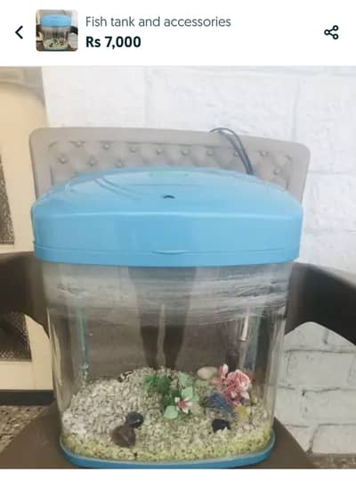 Small fish tank