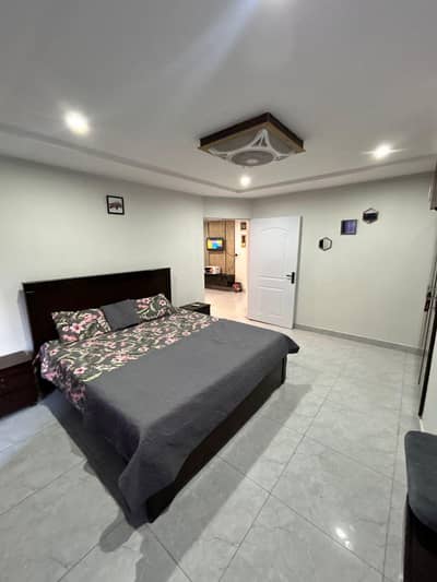 one bed pent house fully furnished