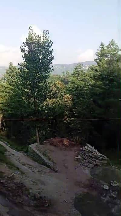 Fair-Priced 5 Marla Residential Plot Available In Darya Gali