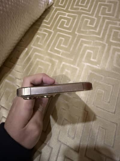 13 Pro Max 256gb (HK)