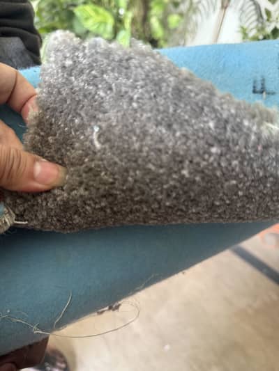 Heavy carpet w foam base thick