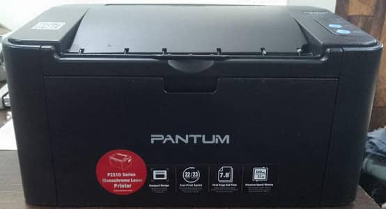 PANTUM P2516 BLACK PRINTER