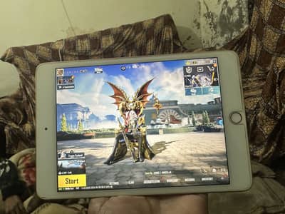 Ipad mini5