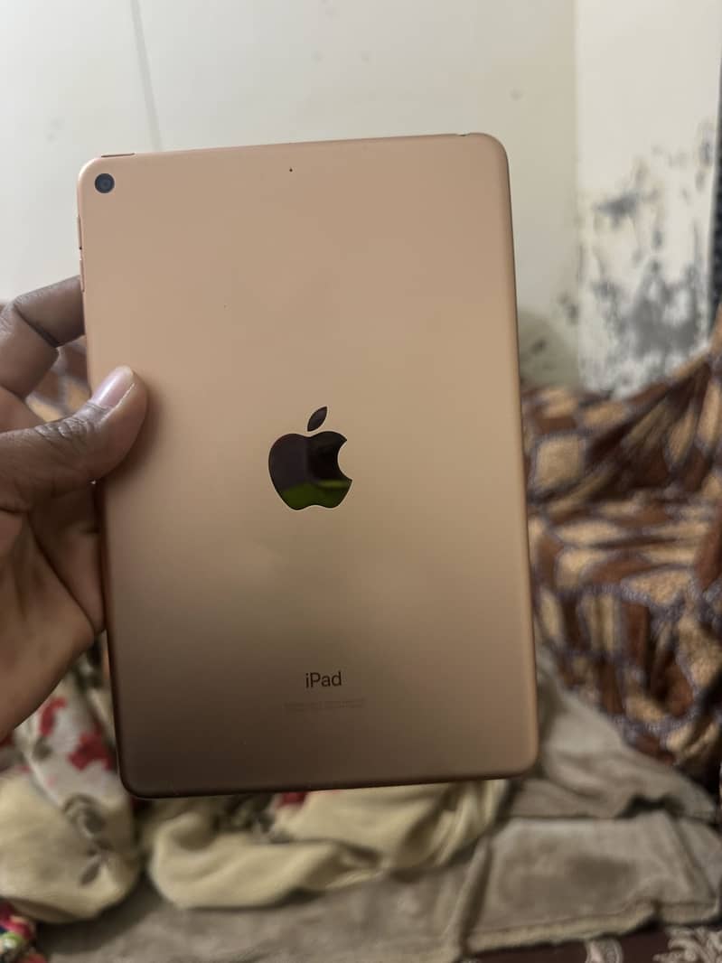Ipad mini5 1