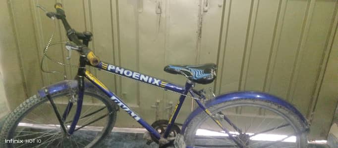 phoenix bicycle