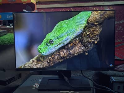 24 inch led borderless