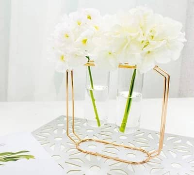 Modern Geometric Hydroponic Plant Vases with gold and black metal dram