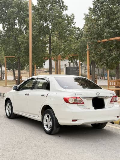 Toyota Corolla GLI (Ecotech /limited edition)