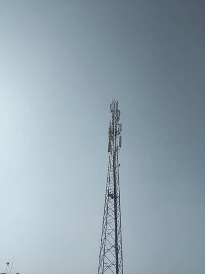 All rounder chef + Driver Available 03015403594