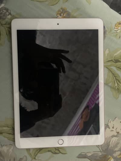 Ipad Pro 9.7 inch (256gb)