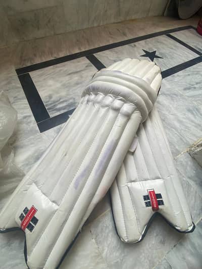Hard Ball Cricket Pad