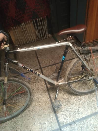 Phoenix cycle All ap