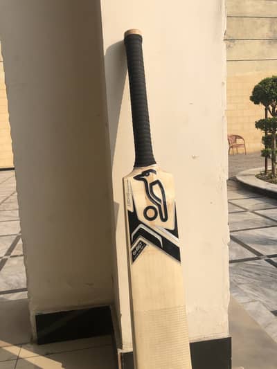 Kookabura Hard ball bat for sale !