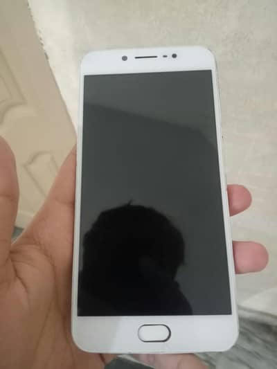 sale + exchange possible ha