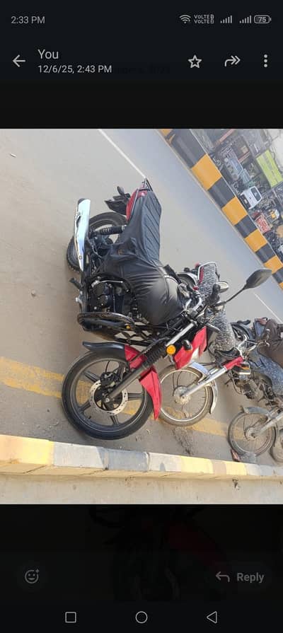 SUZUKI GR150 CC 2023-24