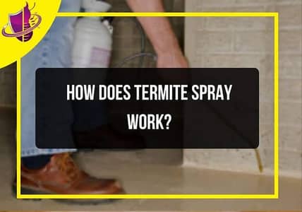 Termite job