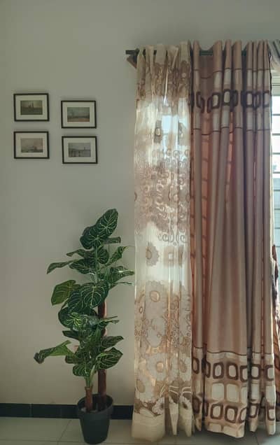 Skin golden curtains 4 piece set