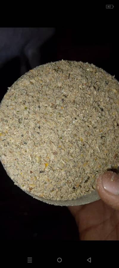 Bakra cow wanda feed pala