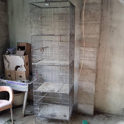 Bird Cage (pinjra)