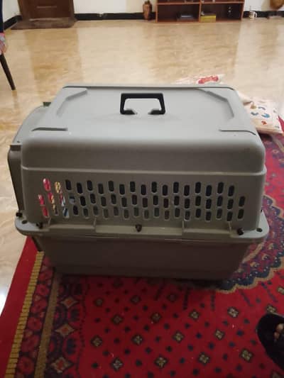 dog cage