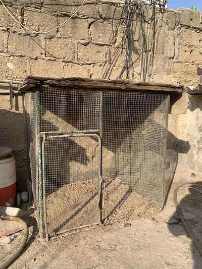 Master metal hen cage