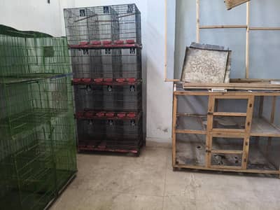 Iron and wooden cages