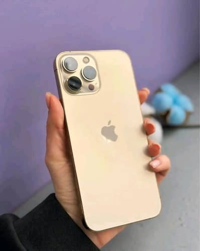 Apple i Phone 13 pro max PTA 128GB What's 03251445629 Number