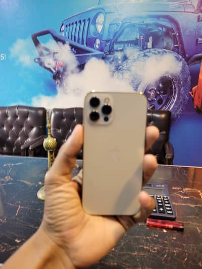 Iphone 12 pro Dual physical pta